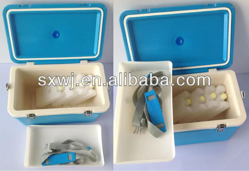 small ice box for medicine