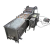 Commercial fruit lettuce blueberry tomato Vegetable dates washing machine