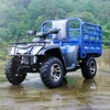 300 cc utv buggy farm atv utility for sale