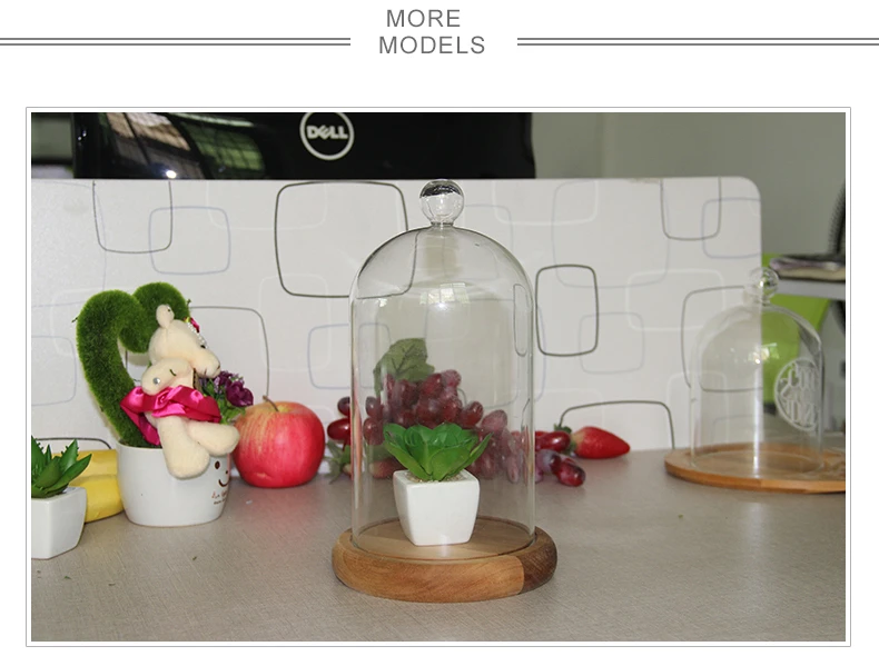 Wholesale Transparent Glass Plant Dome Glass Rose Mini Dome With High