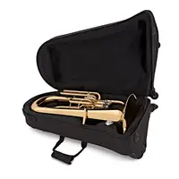 

Bb Key Gold Lacquered Euphonium