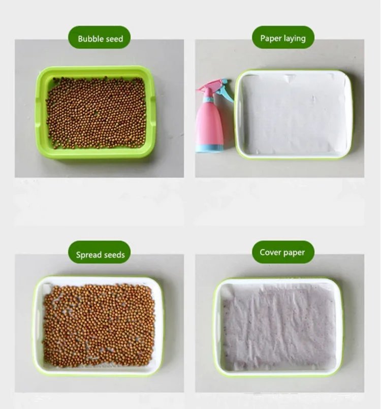 seedling growing.png