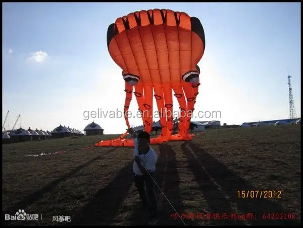 large octopus kite.jpg