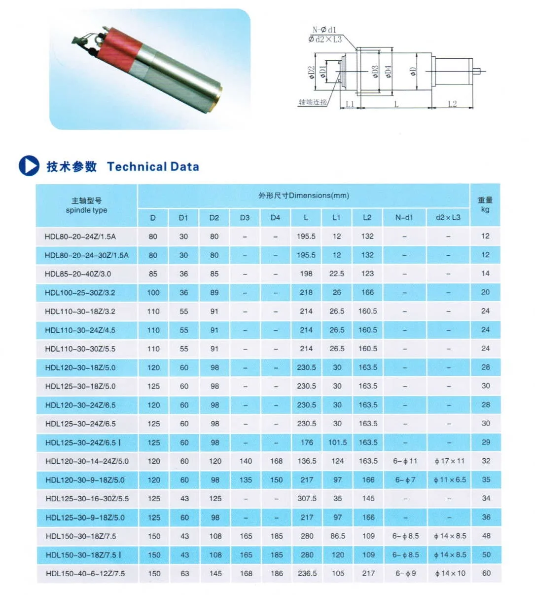 Electric Spindle Motor