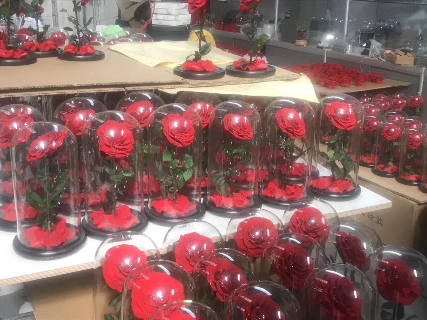 preserved-rose-in-glass.JPG