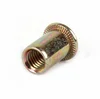 3/8 flat head assorted carbon steel round rivet nut insert