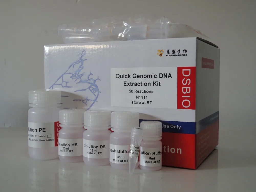 gel function using gene construction kit