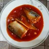 high quality canned mackerel fish in tomato sauce