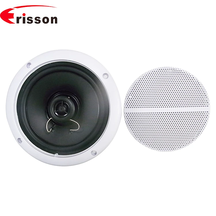 Oem/odm Professional 6.5 Inch 30w Ipx6 Waterproof Marine Speaker Boat