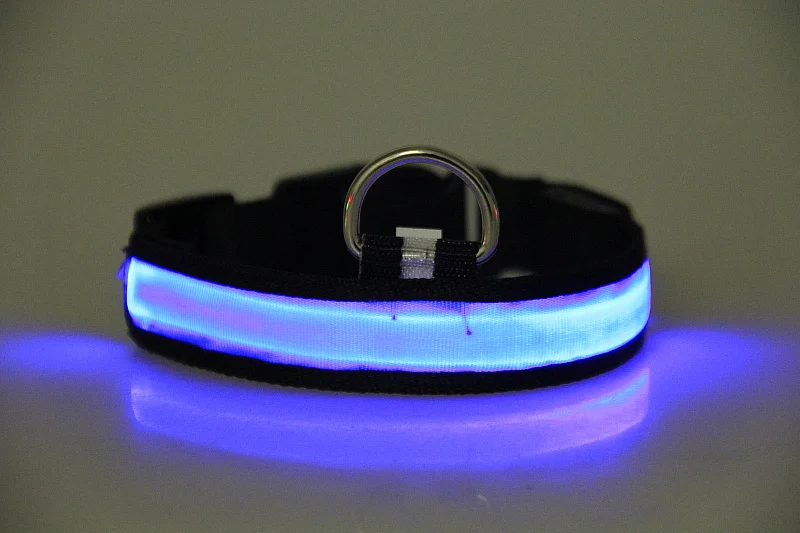 

lighted dog collar