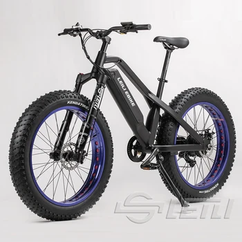 fat tire electric mountain bike