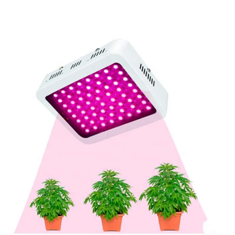 600w 1000w best led grow light full spectrum hydroponic high brightness indoor greenhouse efficiency plant led for medical herb