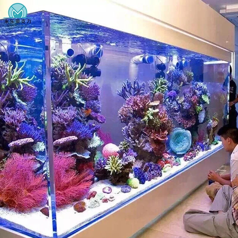 custom acrylic aquariums