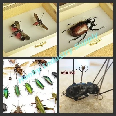 昆虫别针制成 hiagh 质量不锈钢针的结垢和腐蚀. 2.