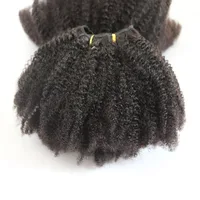 

Natural Color High Quality 4a 4b 4c Afro Kinky Curly Hair For Sale