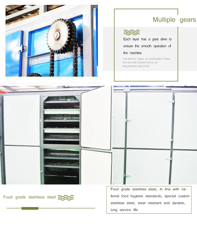 mesh belt dryer7.jpg