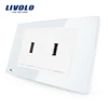 Livolo Manufacturer Good Design New Type 2 Gang USB Socket VL-C392USB-81