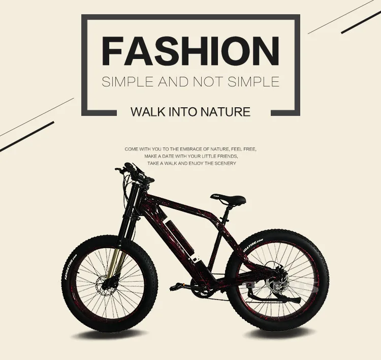 thumpstar electric bike