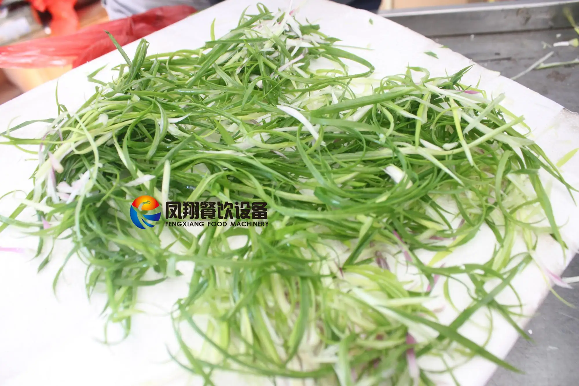 CS-50 Table Type Spring Onion Cutting Machine Celery Strips Cutting Machine  - China Leek Shredding Machine, Celery Strips Cutting Machine