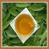 Natural Yerba Mate Extract