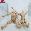 High End Plastic 1/6 Scale 12 inch Height Ball Joint Doll Body