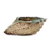 Sea Shell Handmade Ceramic Succulent Planter Pot