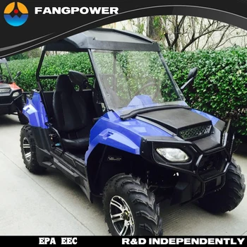 2 seater off road buggy