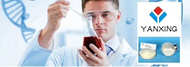  01 Modified Starch .jpg