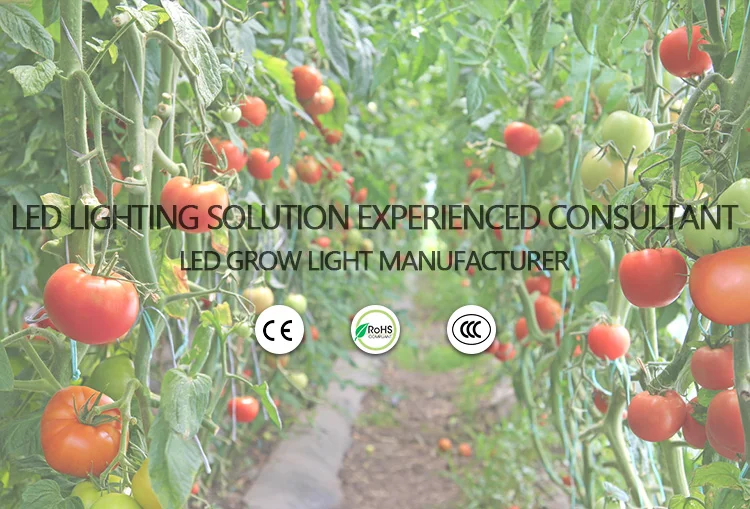 PD 60W DS led grow light 001