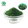 chlorella enhance the immune function
