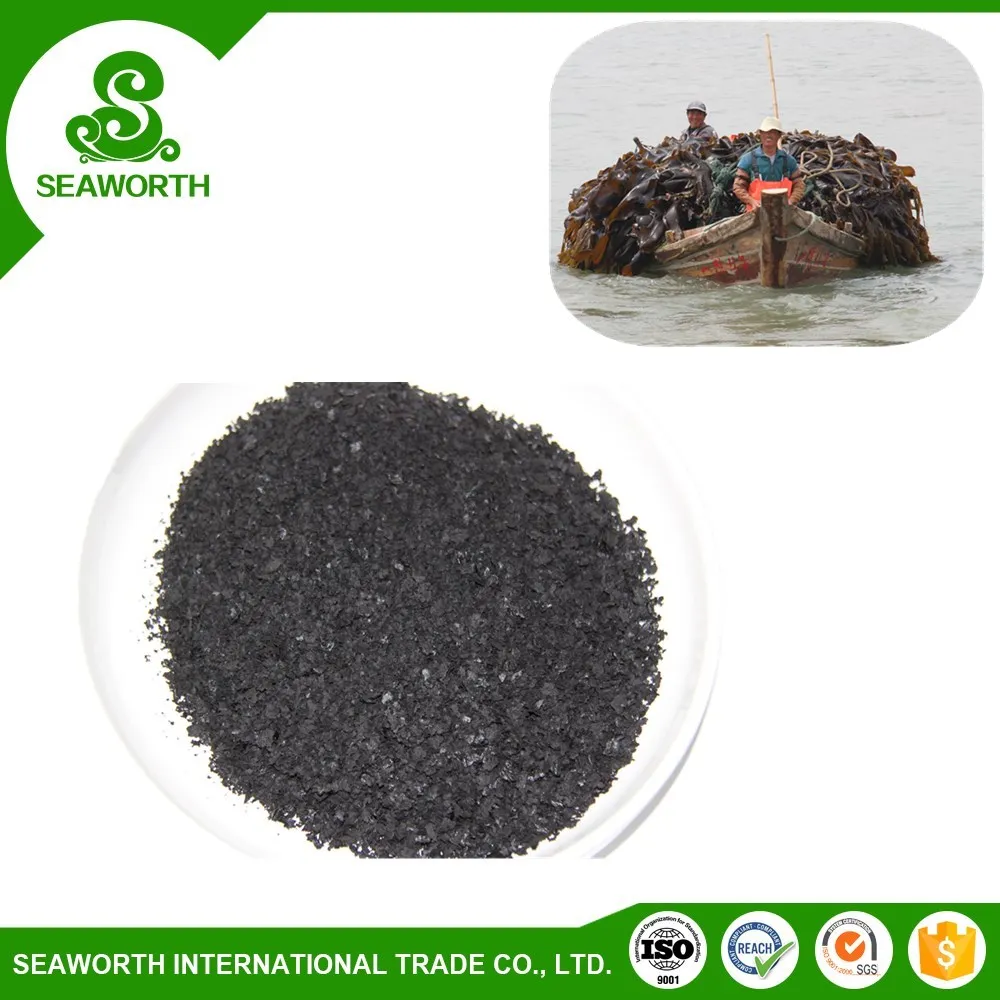 Wholesale dried seaweed for fruit