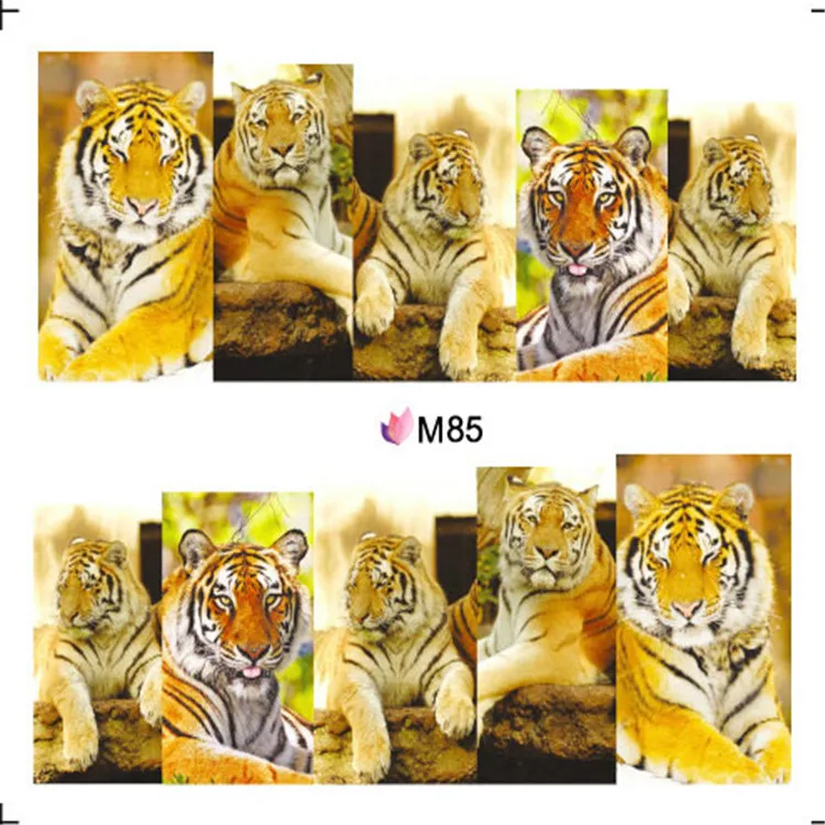 Unduh 8300 Gambar Harimau Dan Ular Terbaik 