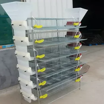 Automatic Design Layer Quail Cages / Commercial Quail Layer Cage - Buy