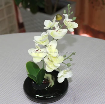 Tre Teste 15 Orchidea Phalaenopsis Con Il Nero Vaso Di Porcellana Bonsai Fiore Artificiale Buy Orchidee Phalaenopsis Artificiale Orchidea Bonsai Seta Orchidea Phalaenopsis Product On Alibaba Com
