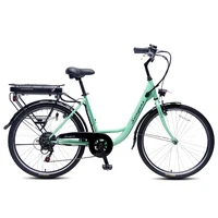 

Holland 26" city electric bicycle steel frame city ebike