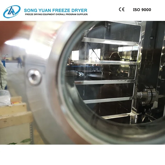 
high quality sublimation freeze drying freeze dryer GZL-3 