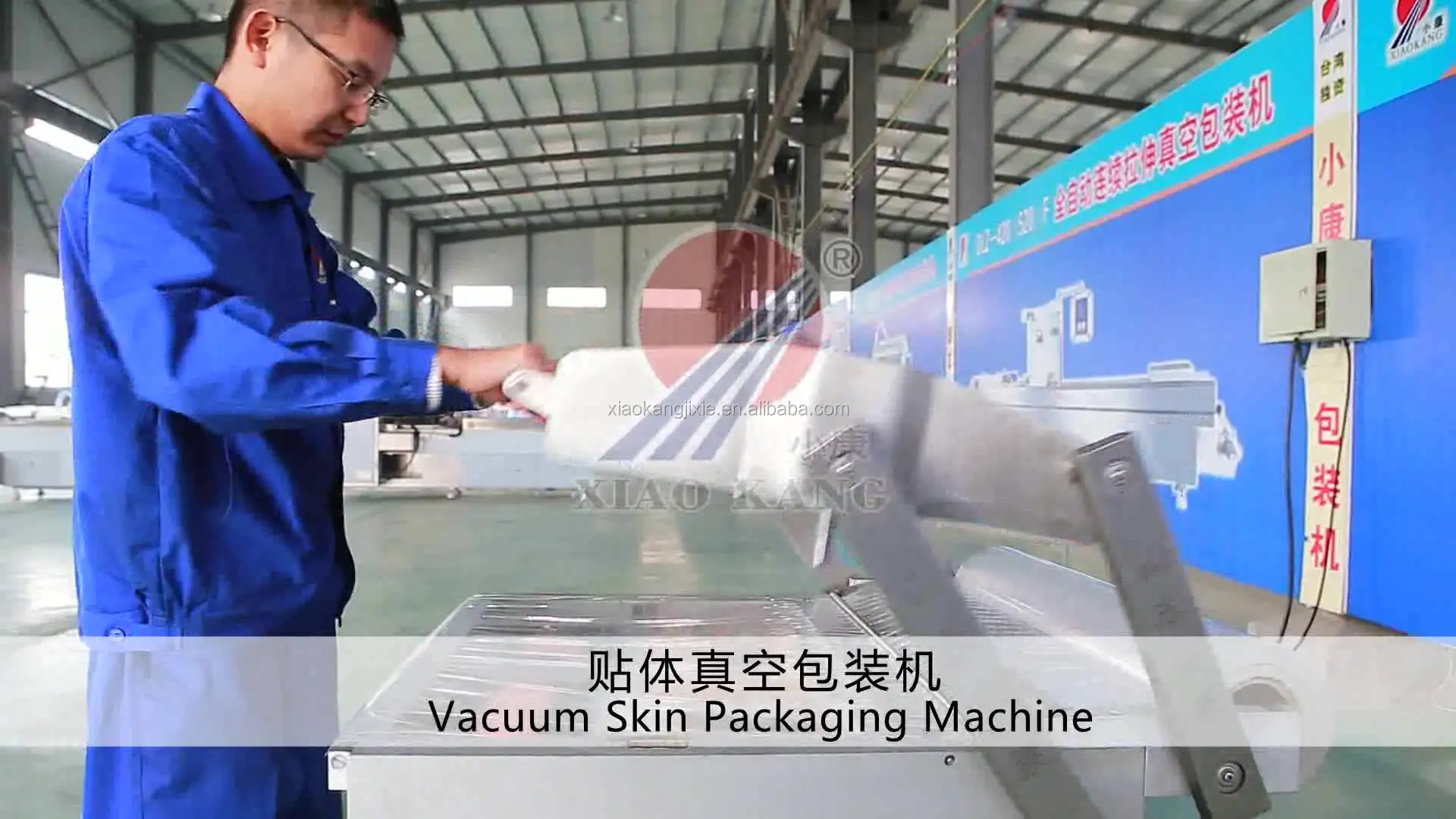 skin packaging (2).jpg