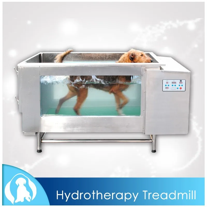 canine underwater treadmill for sale