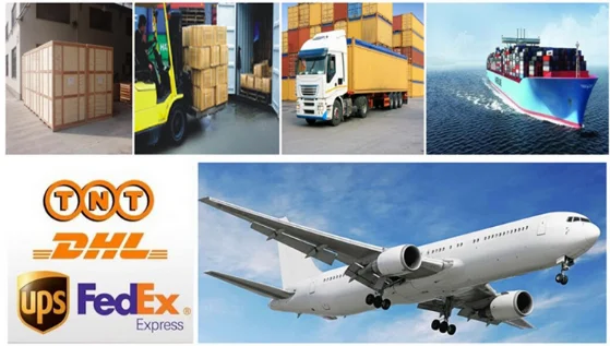 paste-pic-dp_uuid_pd367