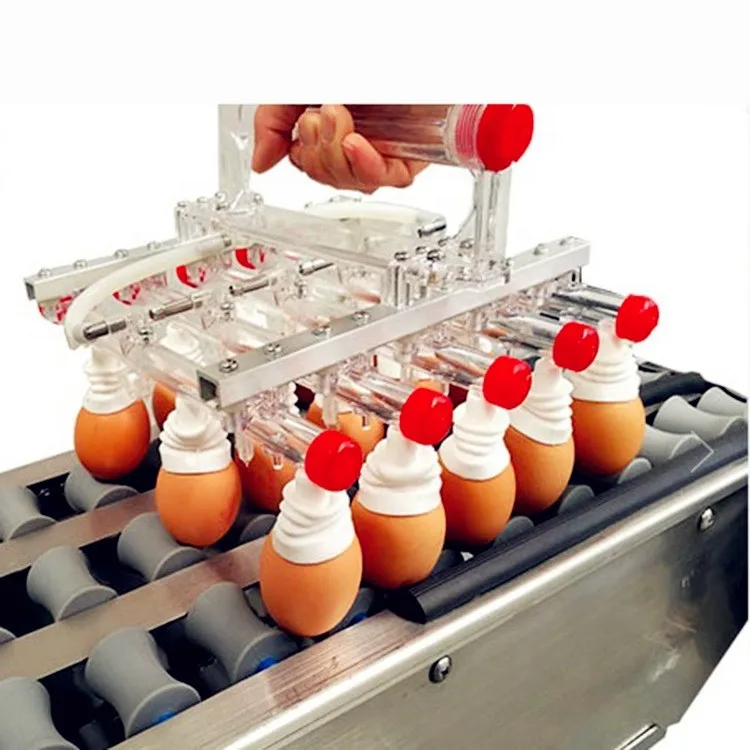 New Designed Egg Grading Sorting Machine For Sale Buy Egg Sorting