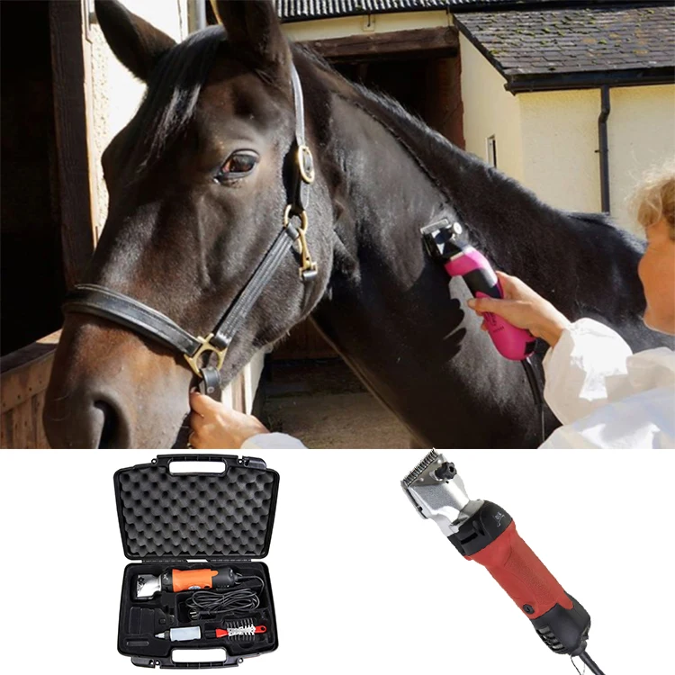 low noise horse clippers