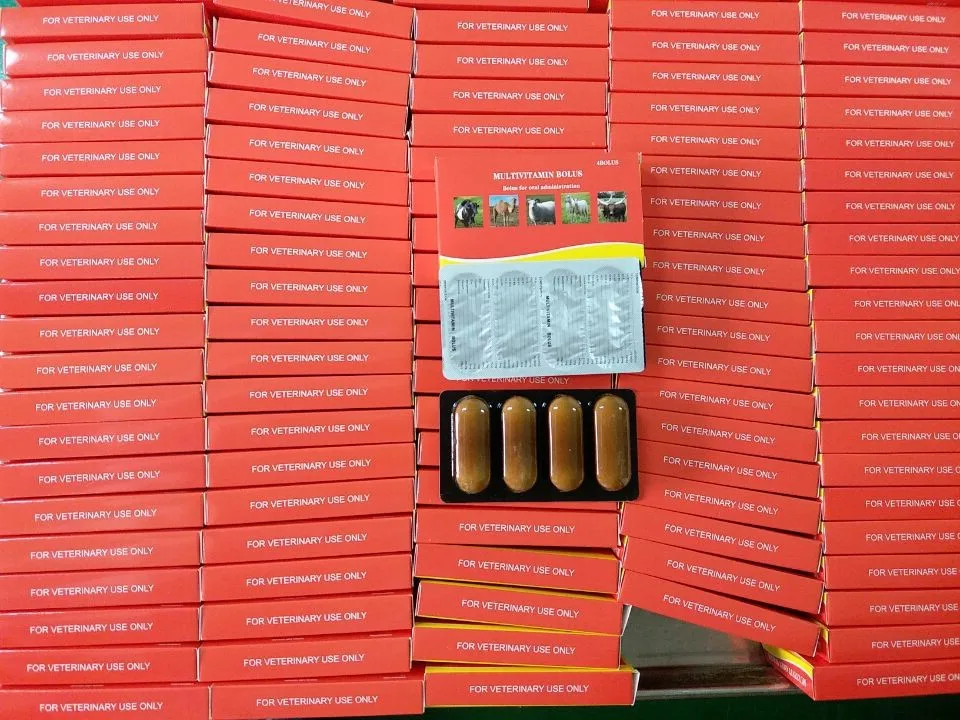 
Dogs supplement multivitamin and minerals in bottle 