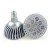 PAR38 Bulb 12W E27/E26 LED Shop Spotlight 12V