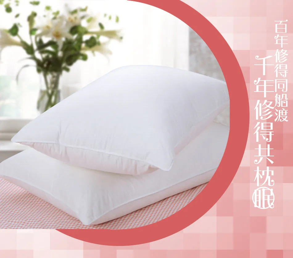 Goose Down Pillow (5).jpg