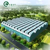 multi span film greenhouse with hydroponic system grow tomato