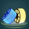 led lighting,led rope,220V magic Led strip light with connector plug and Remote control