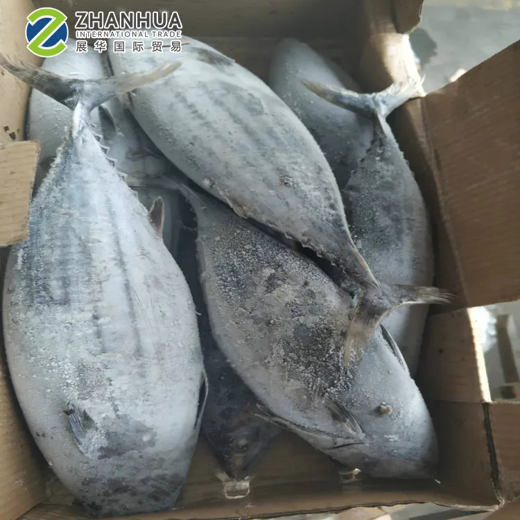 skipjack1