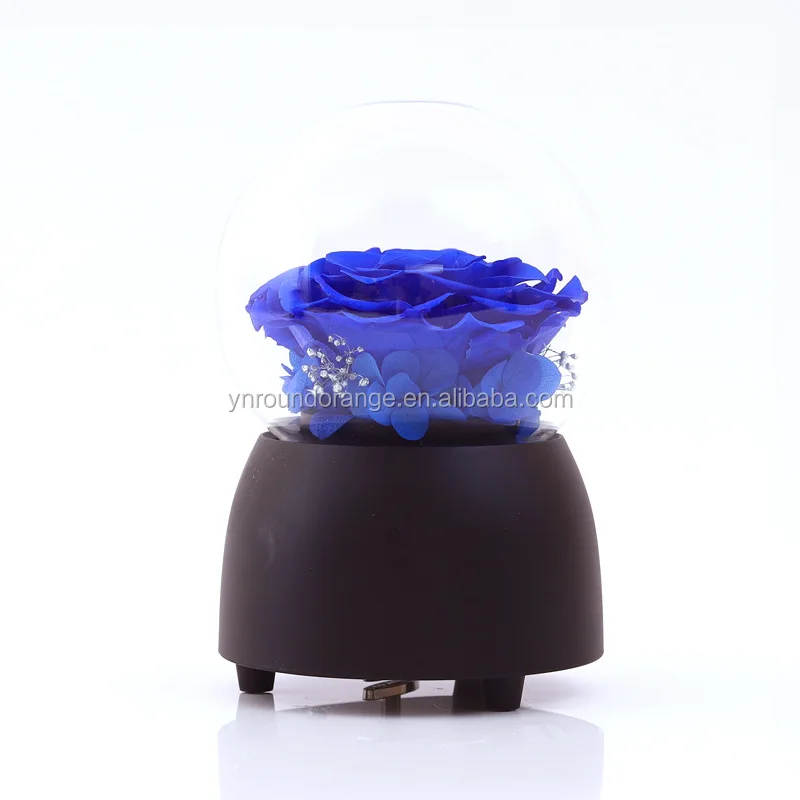 music box10.jpg