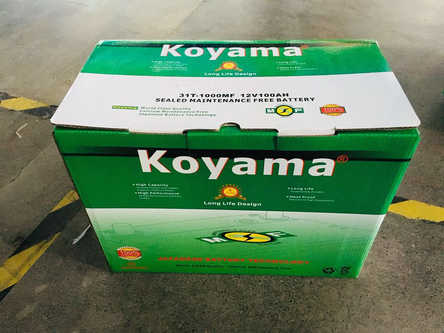 BCI31T-KOYAMA.jpg