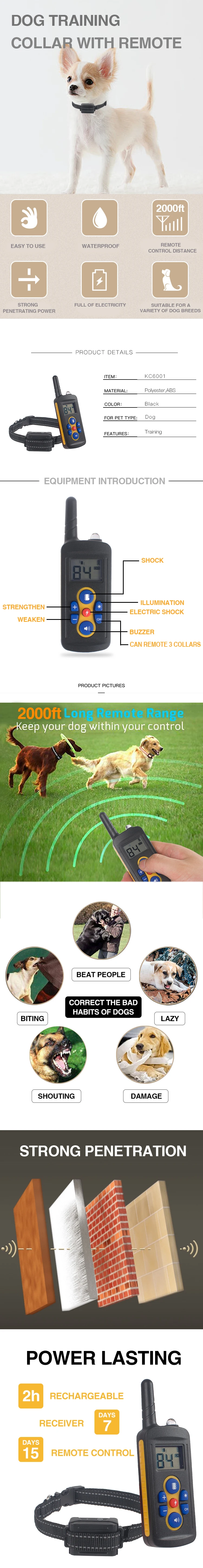 petsmart remote control mouse